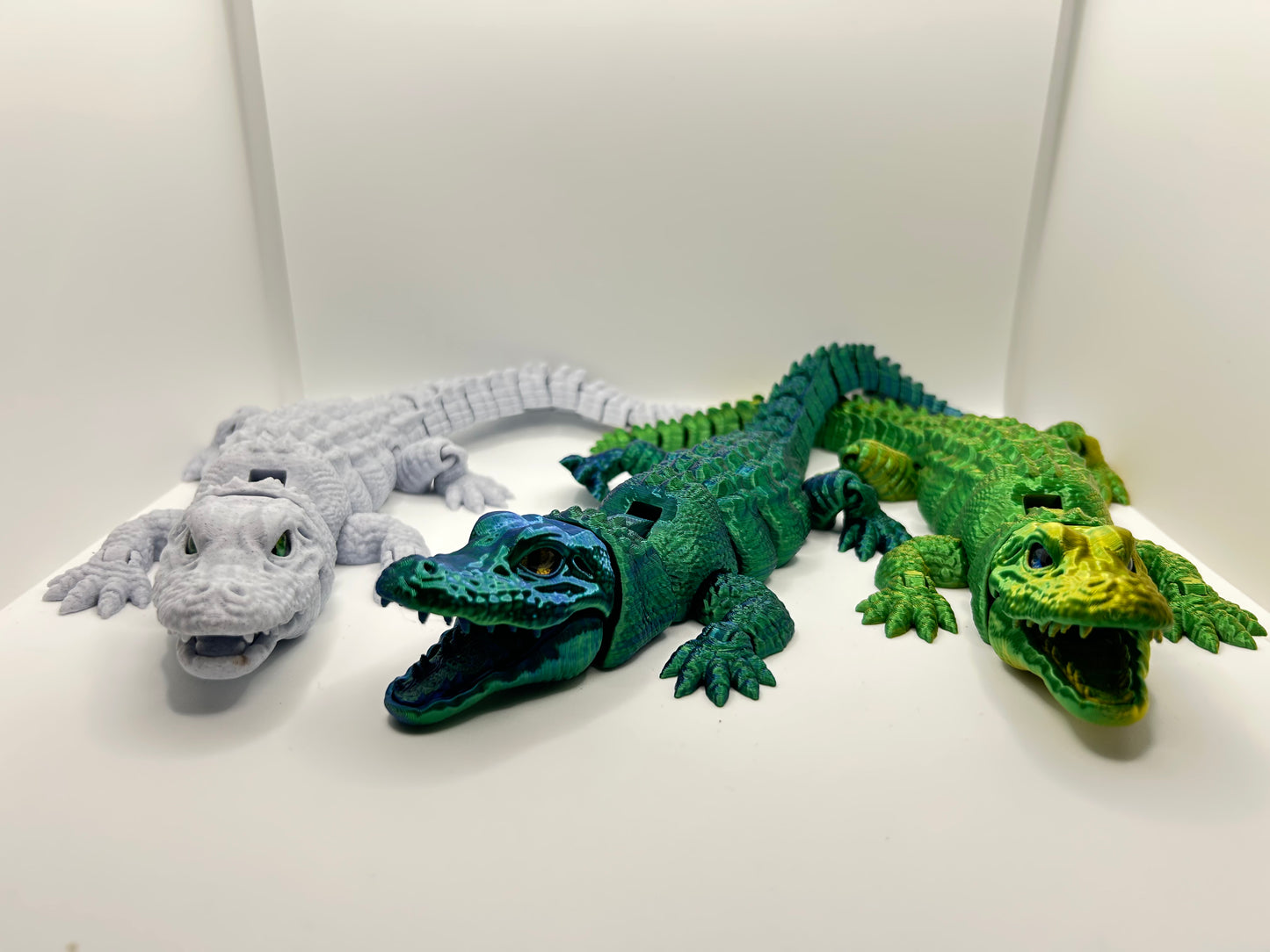 Alligator