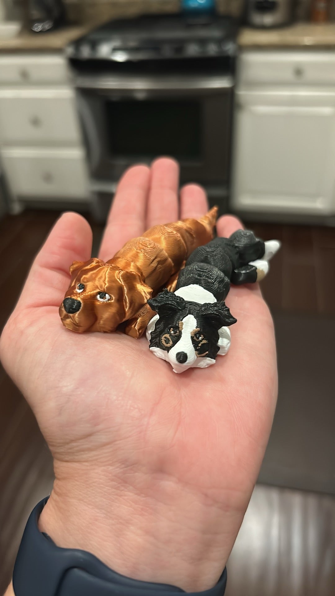 Create your own DOG or CAT!