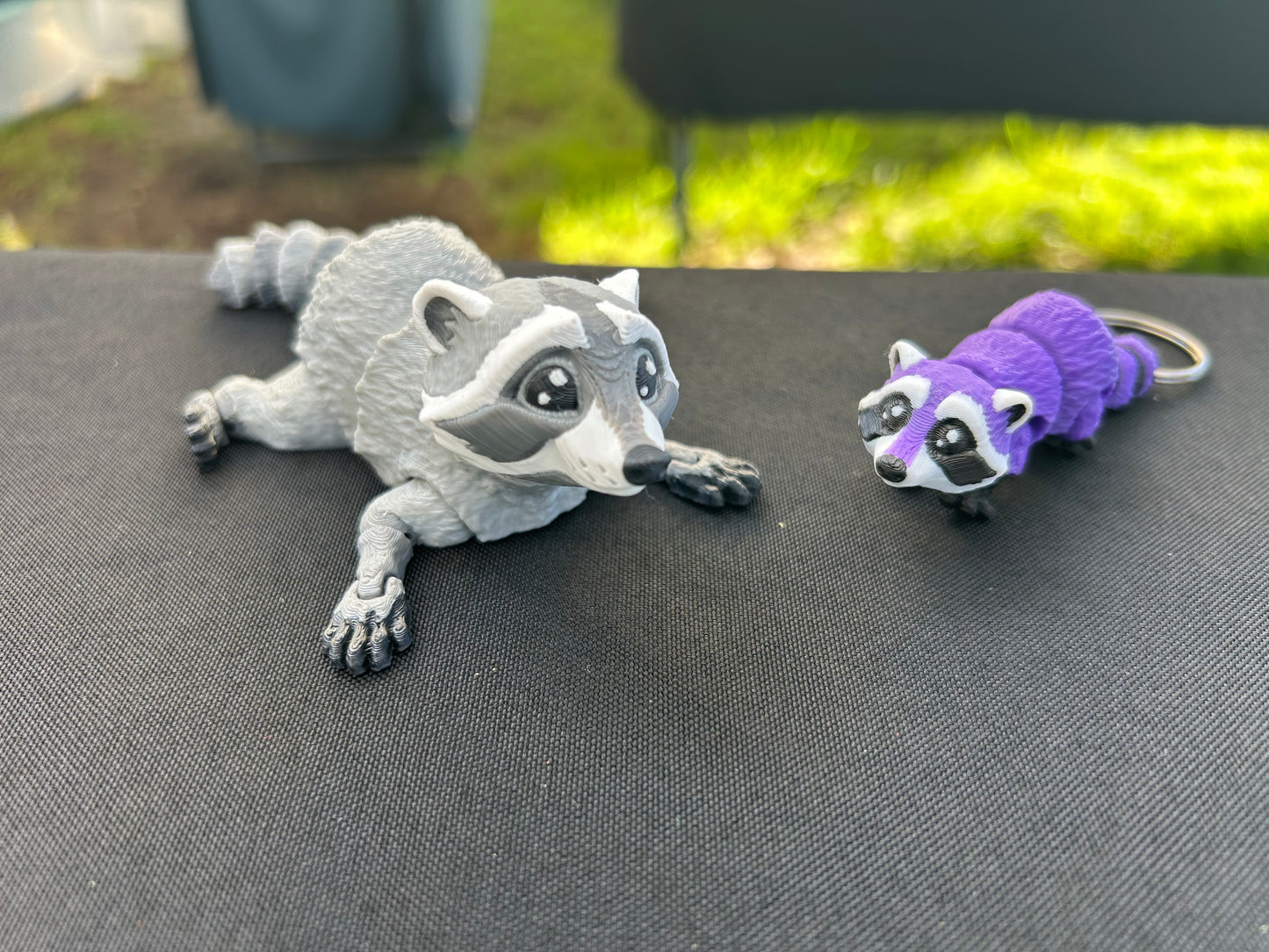 Raccoon