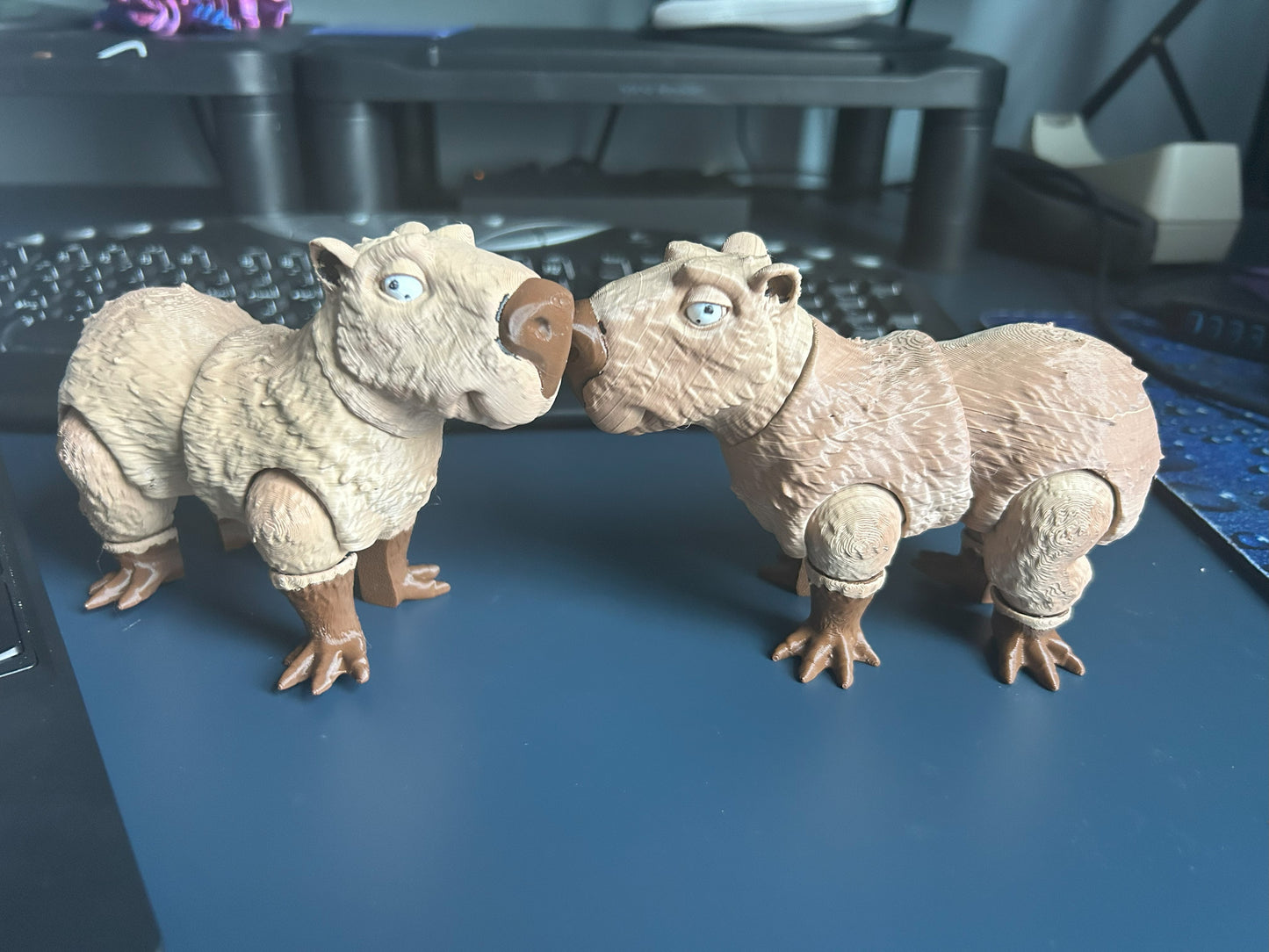 Capybara