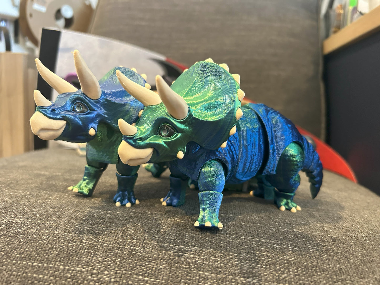 Triceratops