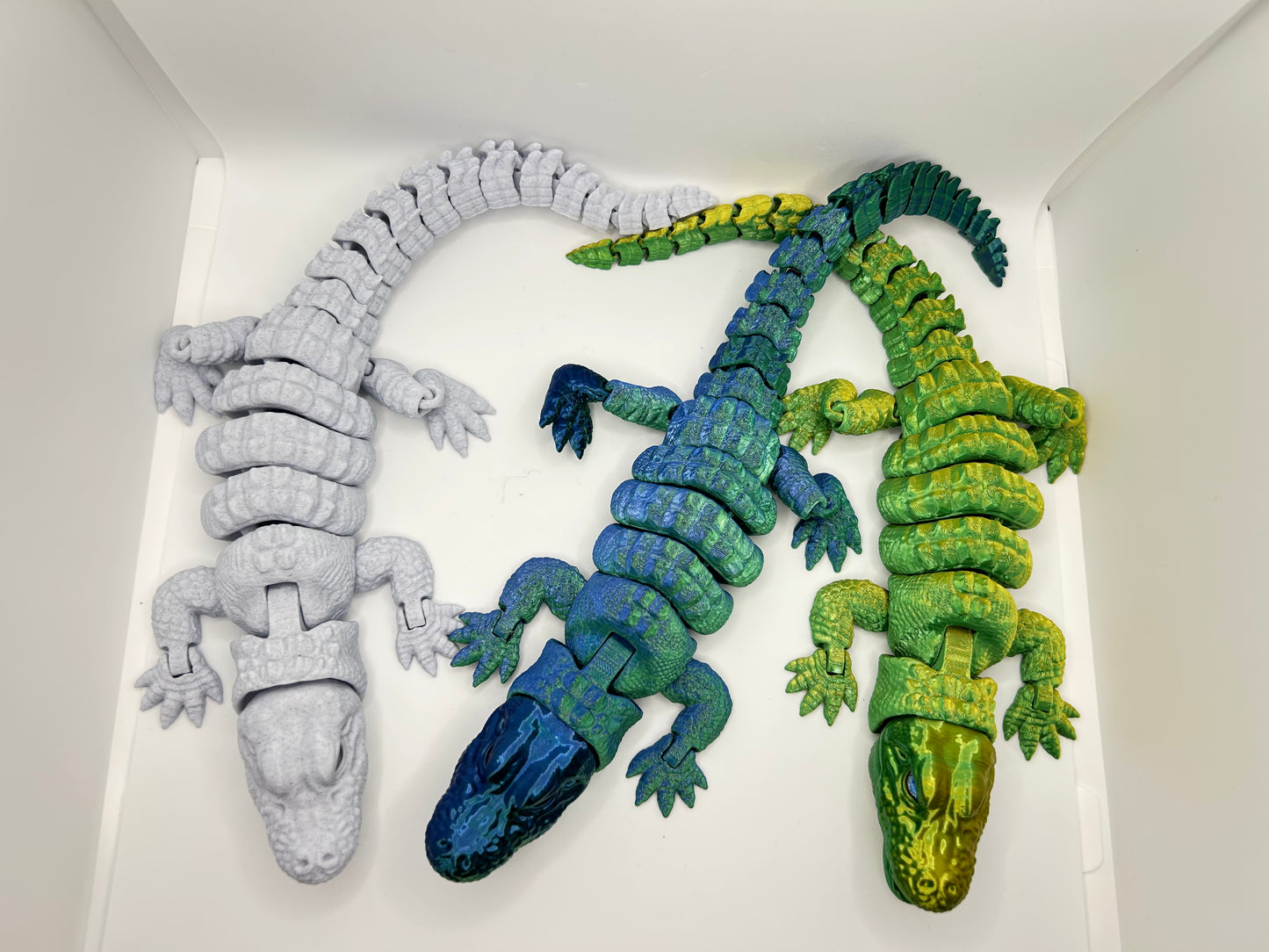 Alligator