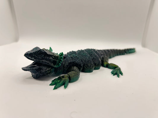 Bearded Dragon