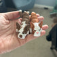 Create your own DOG or CAT!