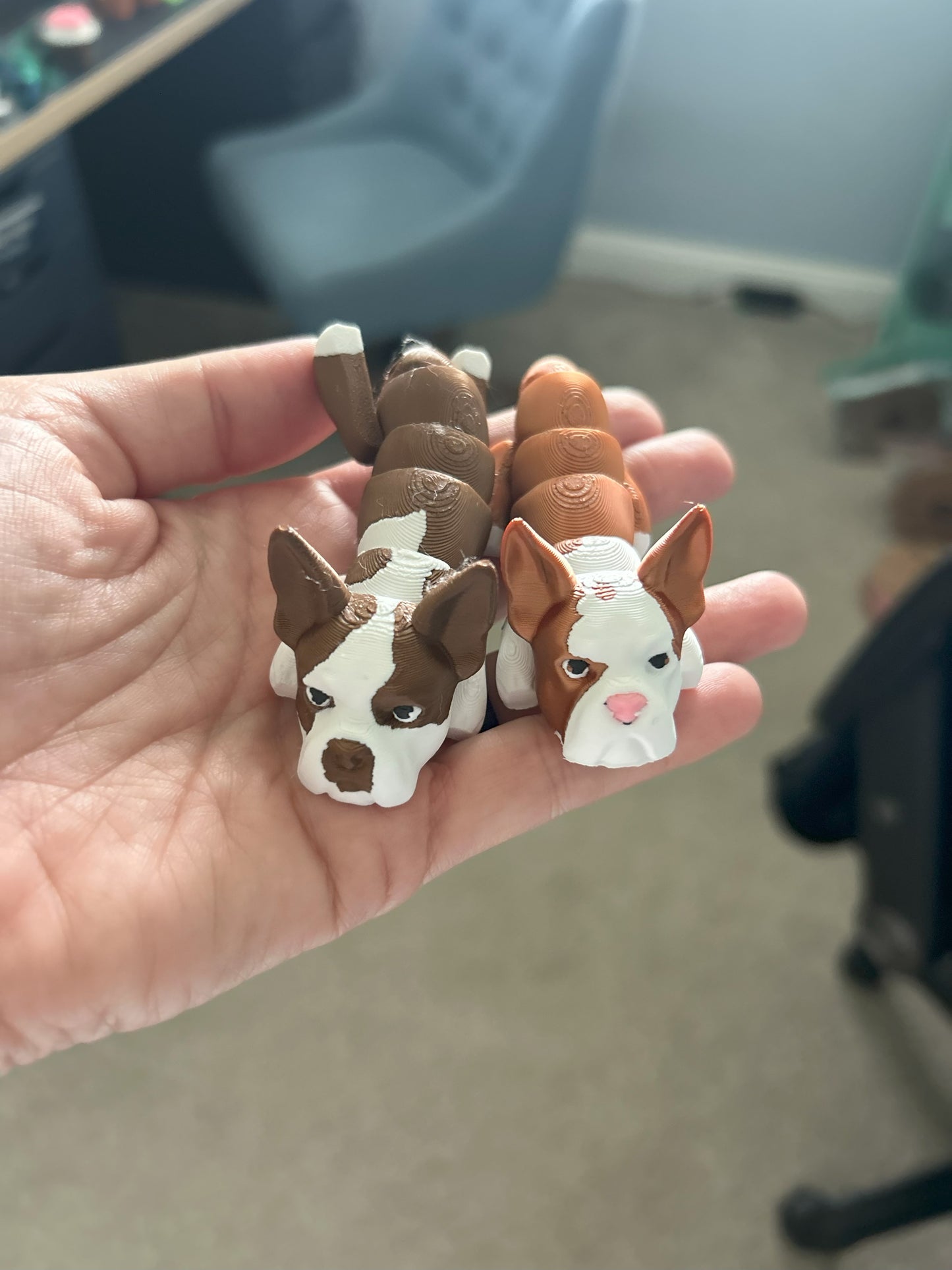 Create your own DOG or CAT!
