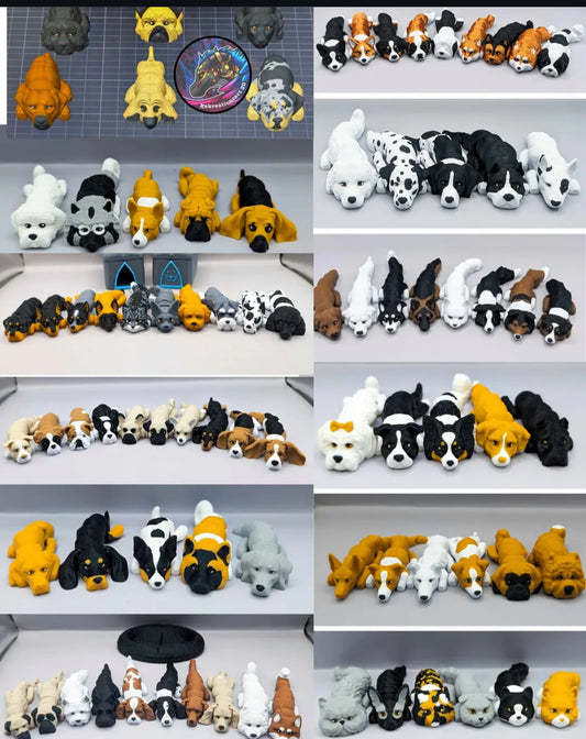 Create your own DOG or CAT!