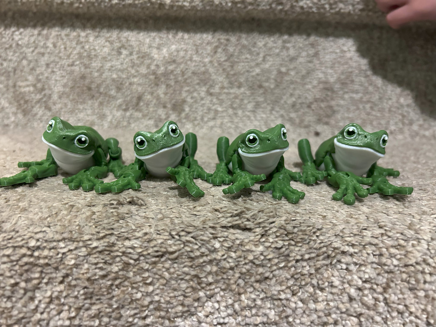 Tree Frog