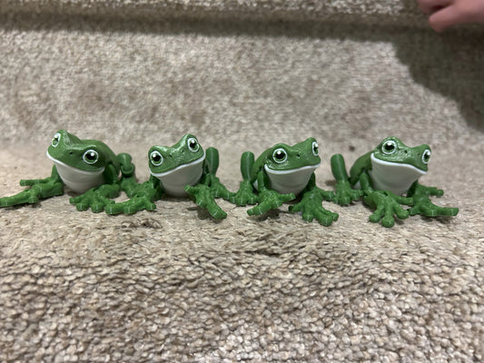 Tree Frog