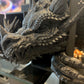 Emerging Dragon Book Nook