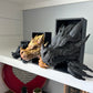 Emerging Dragon Book Nook