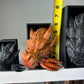 Emerging Dragon Book Nook