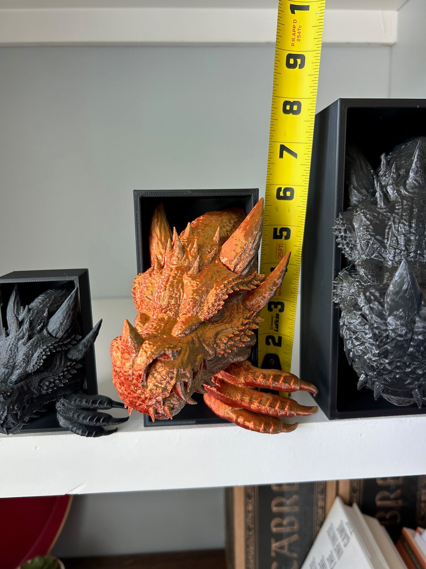 Emerging Dragon Book Nook