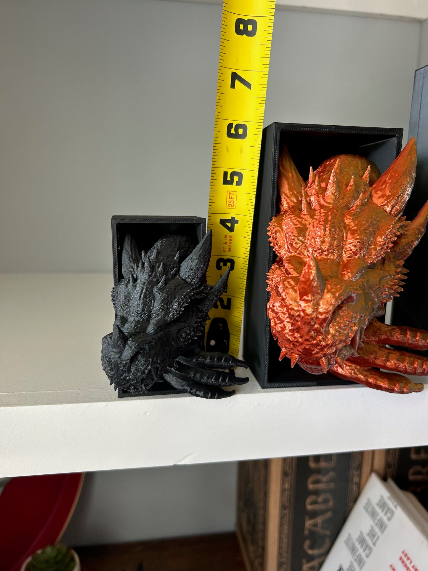 Emerging Dragon Book Nook