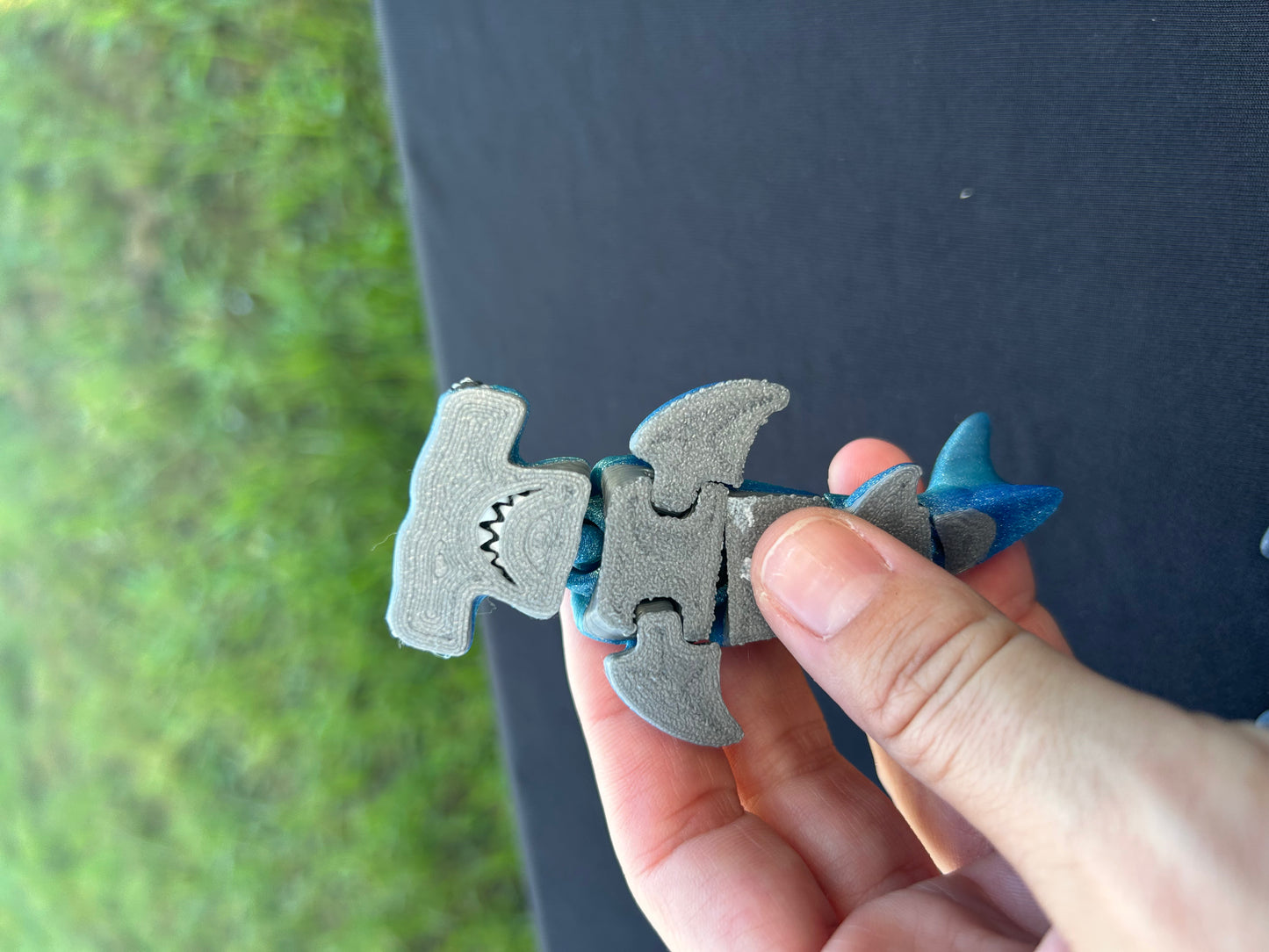 Hammerhead Shark
