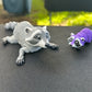 Raccoon