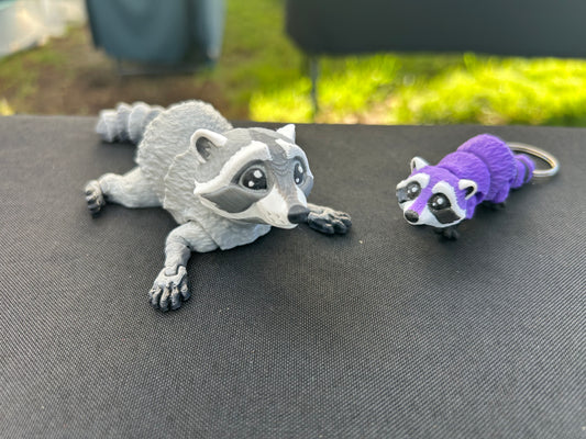 Raccoon