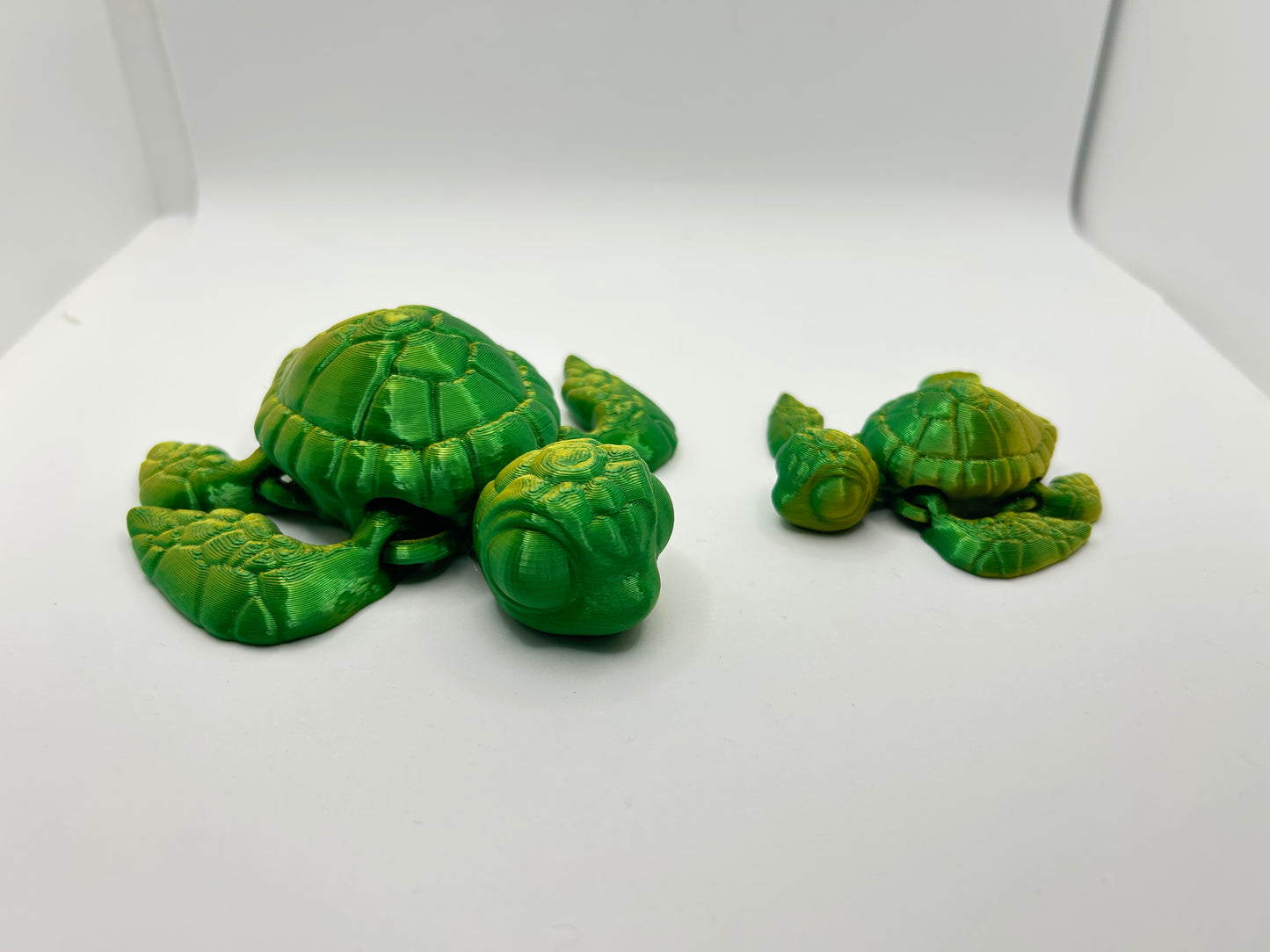 Sea Turtle