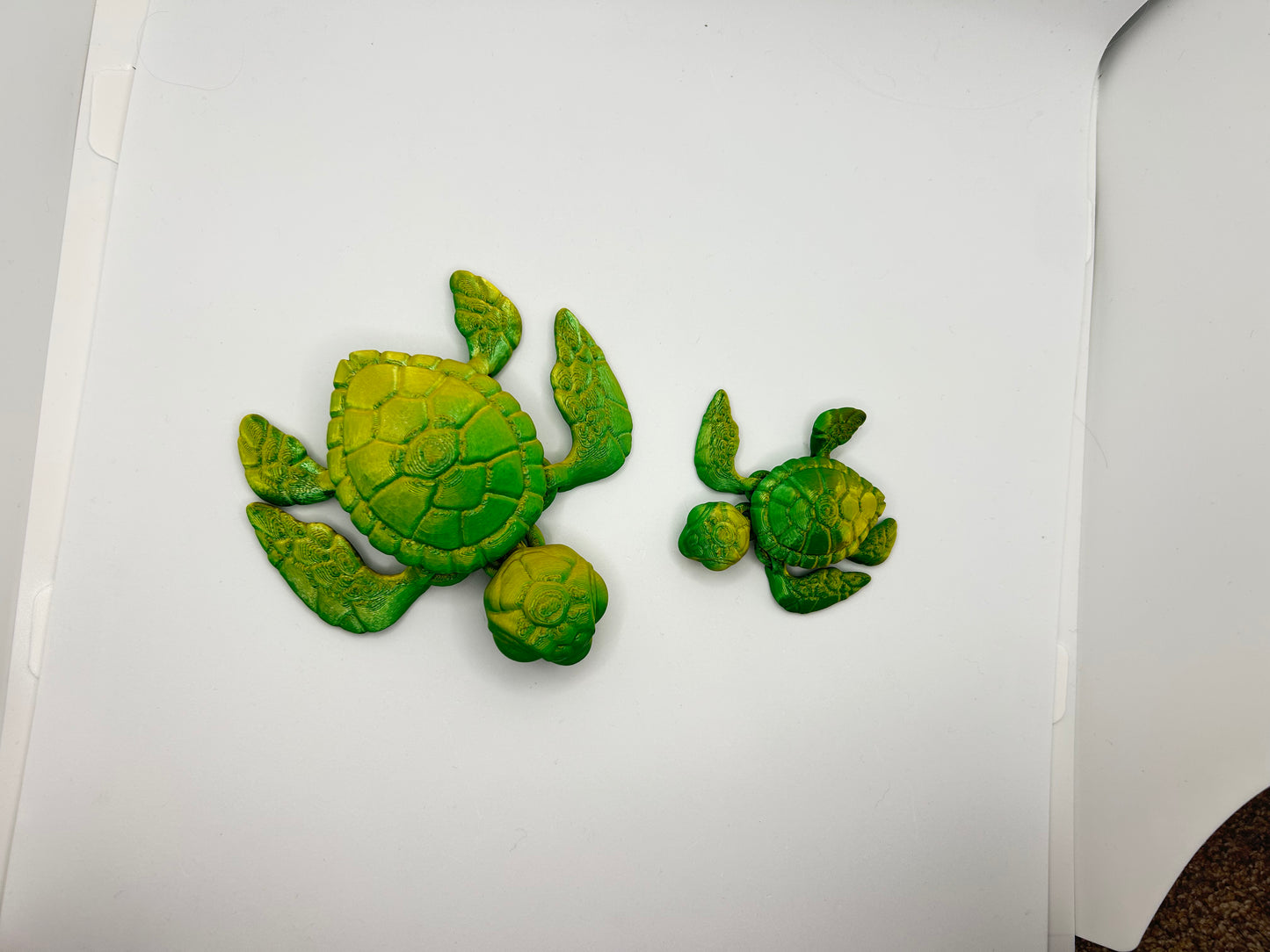 Sea Turtle