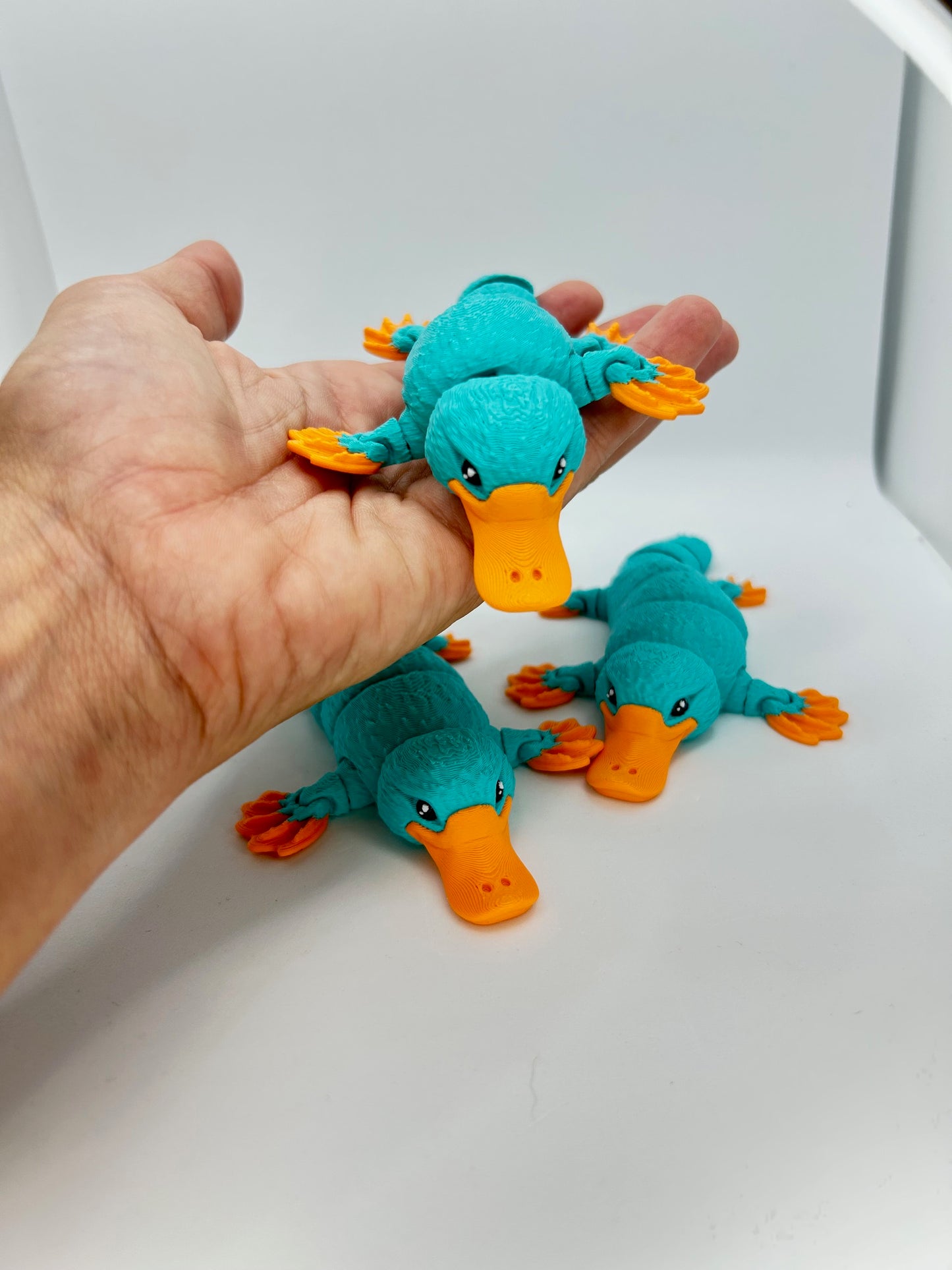 Platypus