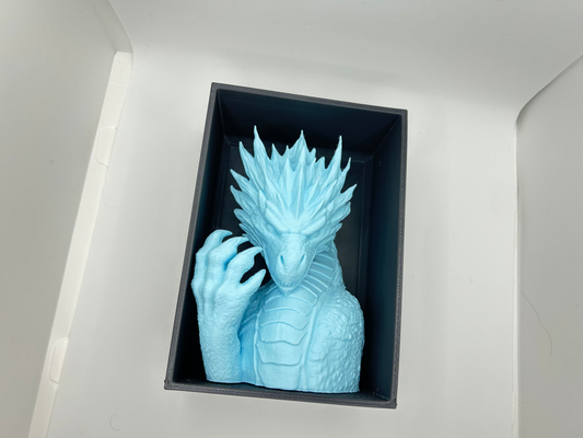 Ice Dragon Book Nook