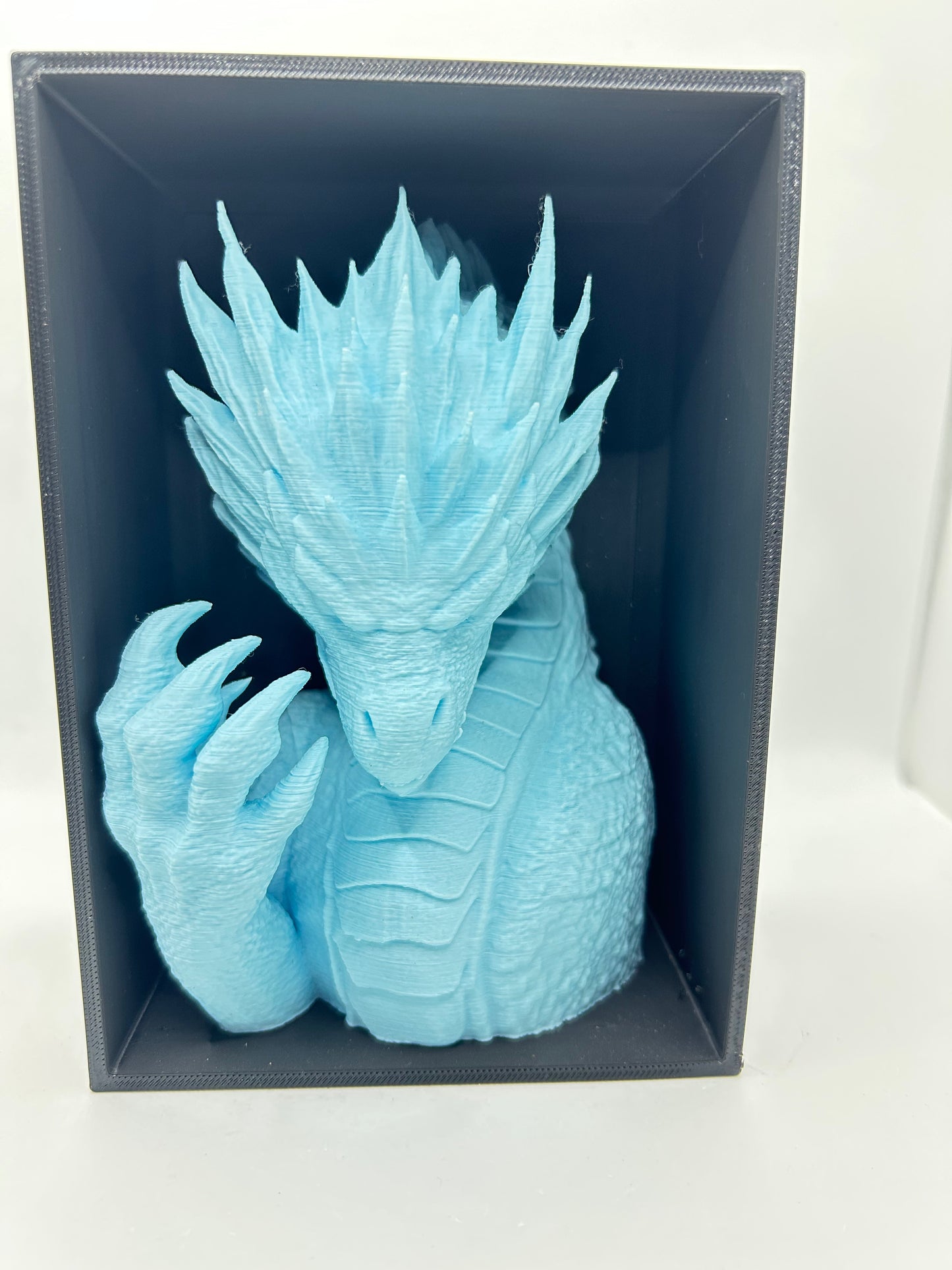 Ice Dragon Book Nook
