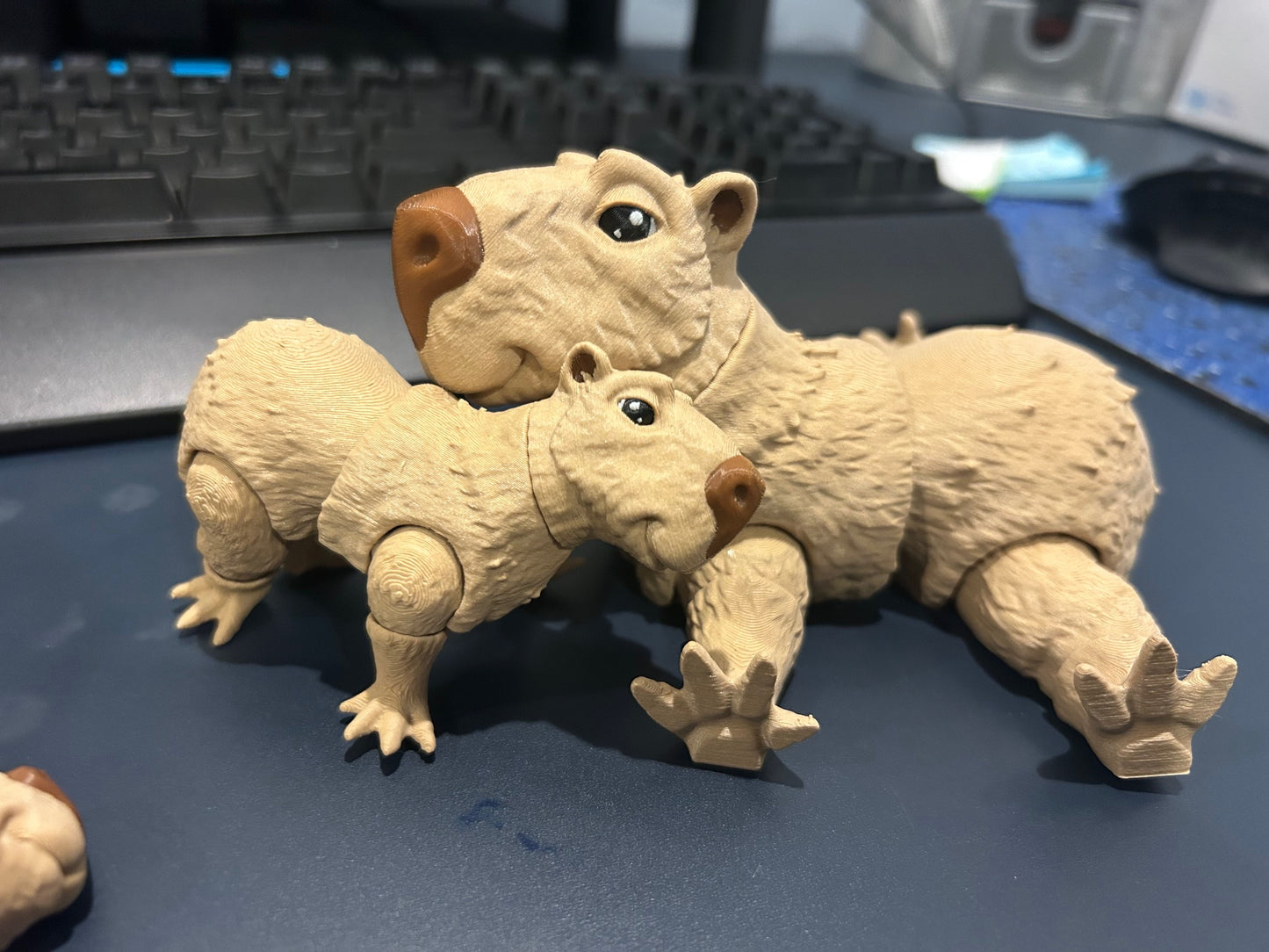 Capybara