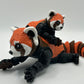 Red Panda
