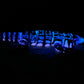 Tegu