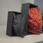 Emerging Dragon Book Nook